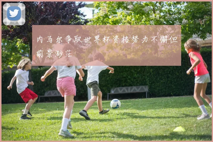 内马尔争取世界杯资格努力不懈但前景渺茫