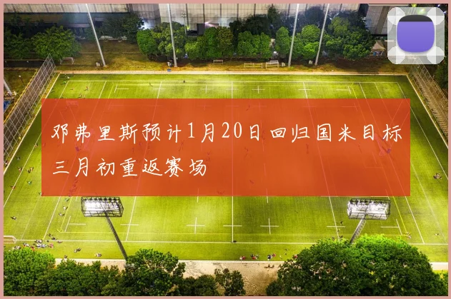 邓弗里斯预计1月20日回归国米目标三月初重返赛场